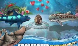 鲨鱼套最新爆料,最新爆料背后的惊人真相