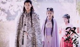 双世宠妃在线观看免费,穿越时空的甜蜜邂逅