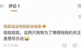 读心吃瓜系统娱乐圈,揭秘读心吃瓜系统背后的秘密