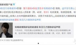 知情人士爆料日本人视频