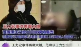 王力宏爆料范玮琪视频在线观看,揭秘背后惊人内幕