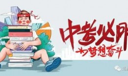 最新珍宝爆料消息视频大全