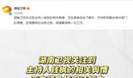 吃瓜娱乐素材网站,吃瓜网站带你领略明星幕后故事