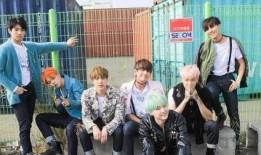 桃源剑阁爆料事件始末视频,揭秘背后真相与网络舆论风暴